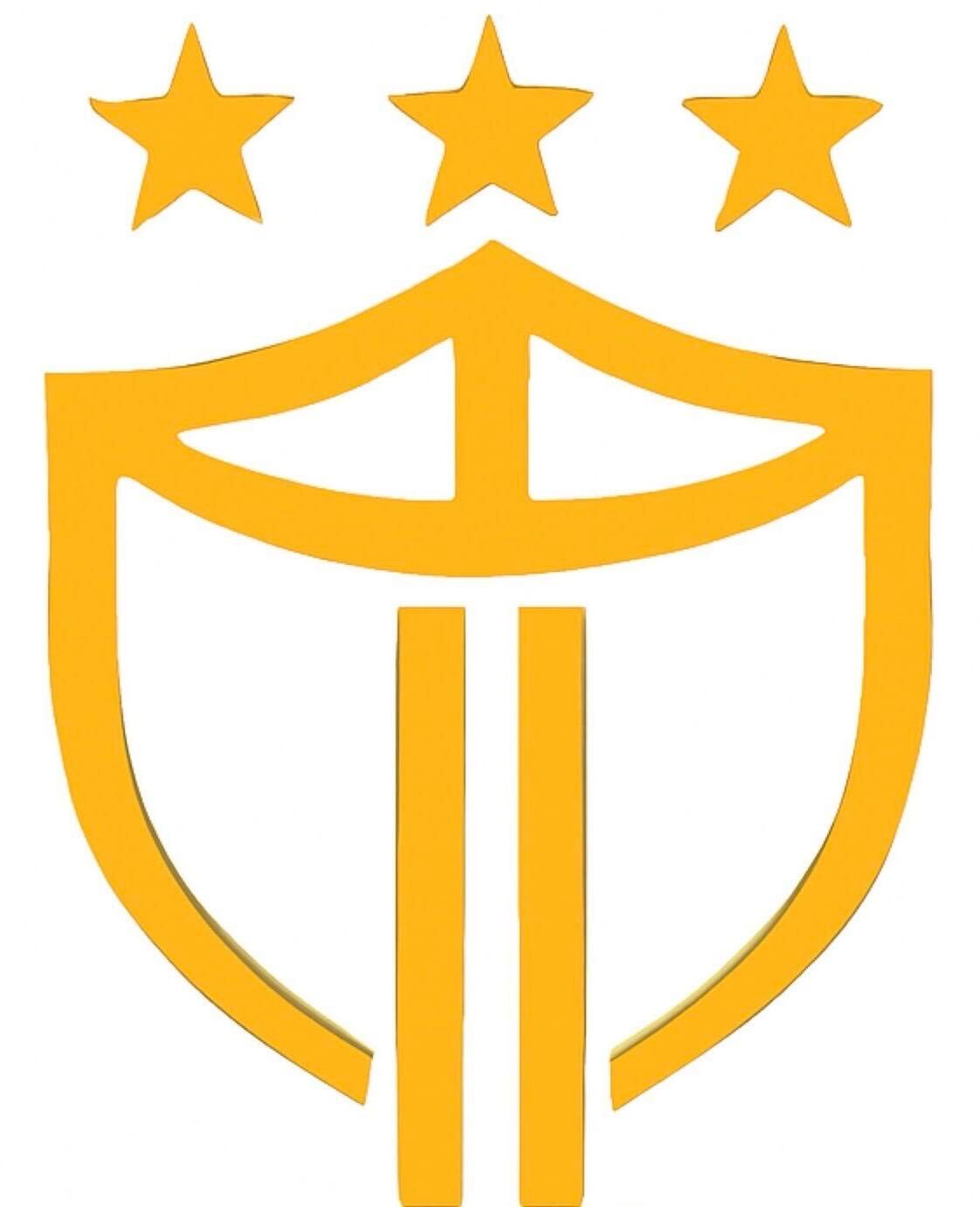 Team International Logo